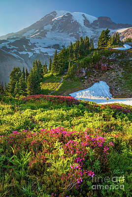 Catch Of The Day - Heather at Mount Rainier by Inge Johnsson