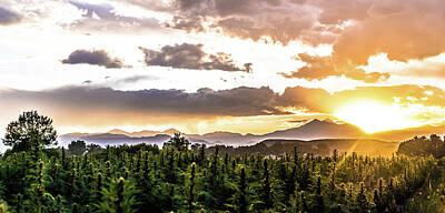 Landscapes Rights Managed Images - Hemp Field Sunset 78 Royalty-Free Image by Hemp Landscapes