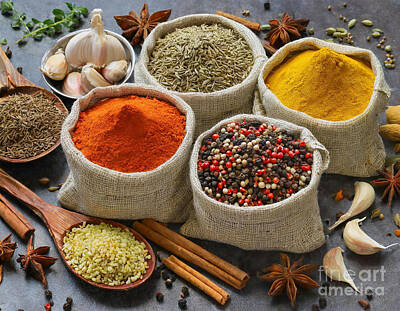 Food And Beverage Digital Art - Herbs and spices to flavor your food by Viktor Birkus