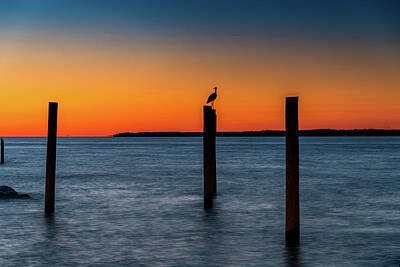 Childrens Rooms - Heron and Sunset by Greg Meland