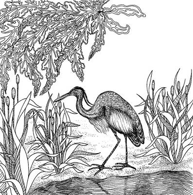 Animals Drawings - Heron by Jennifer Wheatley Wolf