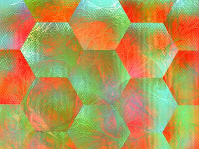 Abstract Flowers Digital Art - Hexagonal beauty  by Laura Vanatka