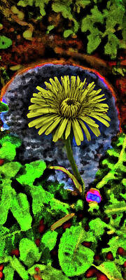 Travel Pics Digital Art Royalty Free Images - Hey, Dandelion Royalty-Free Image by Andy i Za