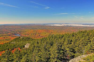 Graphic Trees Royalty Free Images - Hiking view from Mount Monadnock Royalty-Free Image by Monika Salvan