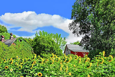 Celebrity Pop Art Potraits - HIllside Sunflowers and Farm by Regina Geoghan