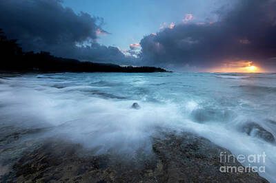 Reptiles Photos - Hole in the Storm by Michael Dawson