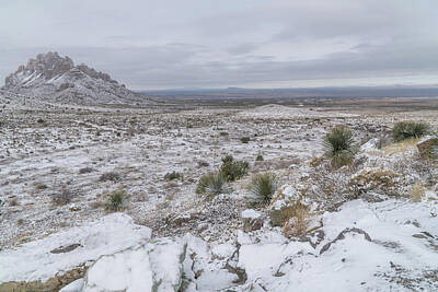 Bringing The Outdoors In - Horizontal snowy winter day in southwest New Mexico. by Mike Helfrich