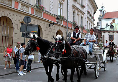 Landscapes Kadek Susanto Royalty Free Images - Europe - Black Horse Cart in Warsaw Royalty-Free Image by Clement Tsang
