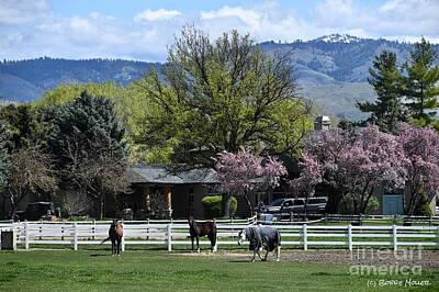 Landscapes Photos - Horse Country in Springtime by Bobbie Moller