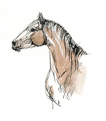 Animals Drawings - Horse head ink sketch 2019 12 02 by Ang El