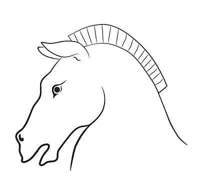 Animals Drawings - Horse head by Michal Boubin