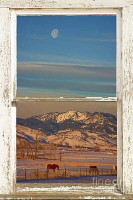 Prescription Medicine - Horses Mountains Moon Snow  White Farm House Rustic Window by James BO Insogna