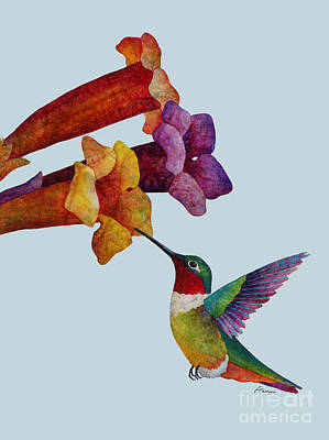 Garden Fruits - Hummer Time - solid background by Hailey E Herrera