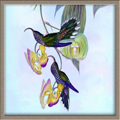 Farm Life Paintings Rob Moline Royalty Free Images - Hummingbird Gallery Icon Royalty-Free Image by Orchard Arts