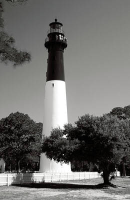 License Plate Skylines And Skyscrapers Rights Managed Images - Hunting Island Lighthouse South Carolina bw vertical Royalty-Free Image by Bob Pardue