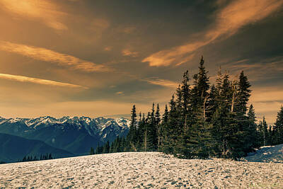 Personalized Name License Plates Rights Managed Images - Hurricane Ridge Winter 5 Royalty-Free Image by Mike Penney