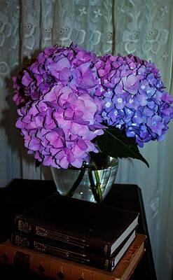 Garden Signs Royalty Free Images - Hydrangea Bouquet Royalty-Free Image by Stephanie Dailey