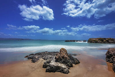 Beach Photo Rights Managed Images - Idyllic Summer in Tawharanui, New Zealand Royalty-Free Image by Dr K X Xhori