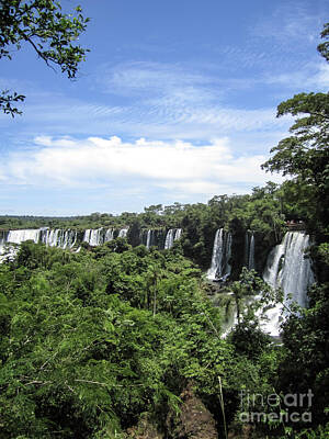 Forest Landscape - Iguassu Iguazu Falls p3 by Ido Dromi