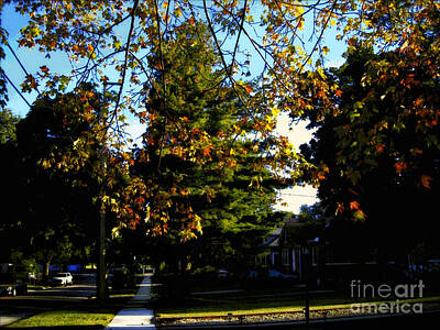 Frank J Casella Royalty Free Images - Illuminated Fall Leaves - Impressionism Royalty-Free Image by Frank J Casella
