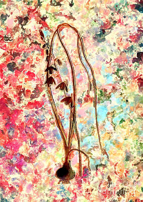 Impressionism Paintings - Impressionist Albuca Botanical Painting in Blush Pink and Gold n.0026 by Holy Rock Design