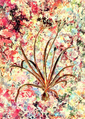 Impressionism Paintings - Impressionist Allium Fragrans Botanical Painting in Blush Pink and Gold n.0038 by Holy Rock Design