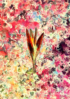 Impressionism Royalty-Free and Rights-Managed Images - Impressionist Autumn Crocus Botanical Painting in Blush Pink and Gold n.0113 by Holy Rock Design