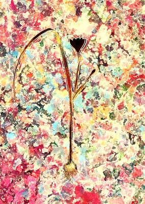 Impressionism Paintings - Impressionist Cape Tulip Botanical Painting in Blush Pink and Gold n.0116 by Holy Rock Design