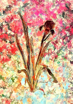 Impressionism Paintings - Impressionist Crimean Iris Botanical Painting in Blush Pink and Gold n.0119 by Holy Rock Design