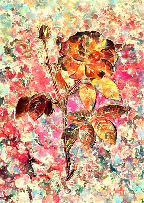 Impressionism Paintings - Impressionist French Rose Botanical Painting in Blush Pink and Gold n.0048 by Holy Rock Design