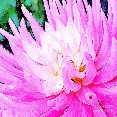 Ink And Water - Incurved Cactus Dahlia Digital Artwork 05 by Douglas Brown