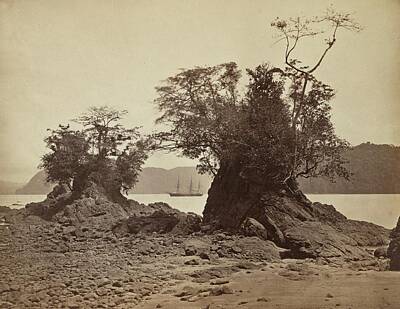 Scott Listfield Astronauts - Islands in Limon Bay 1871 John Moran by MotionAge Designs