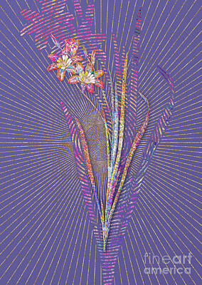 Abstract Flowers Mixed Media - Ixia Tricolor Mosaic Botanical Art on Veri Peri n.0221 by Holy Rock Design