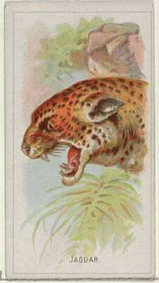 Cowboy - Jaguar, from the Wild Animals of the World series                      by Artistic Rifki