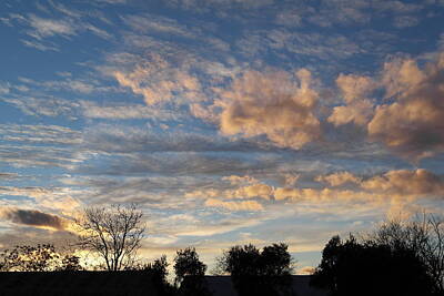 Stunning 1x - January Cloud Show by Michele Myers