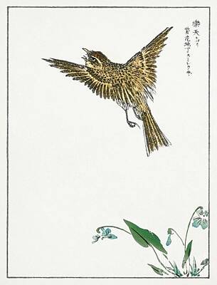Animals Painting Rights Managed Images - Japanese Water-Pipit and Viola illustration from Pictorial Monograph of Birds 1885 by Numata Kashu Royalty-Free Image by Shop Ability