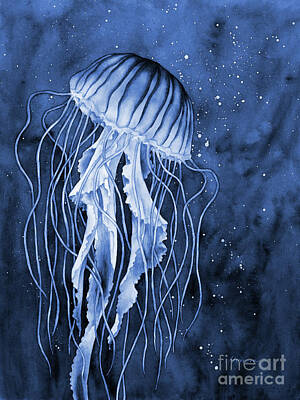 Longhorn Paintings - Jellyfish in Blue2 by Hailey E Herrera