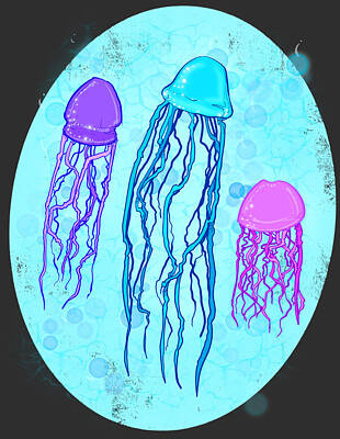 Beach Drawings - Jellyfish Varieties  by Ludwig Van Bacon