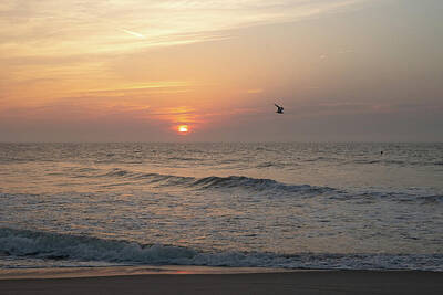Sean Rights Managed Images - Jersey Shore Beach Morning Royalty-Free Image by Matthew DeGrushe