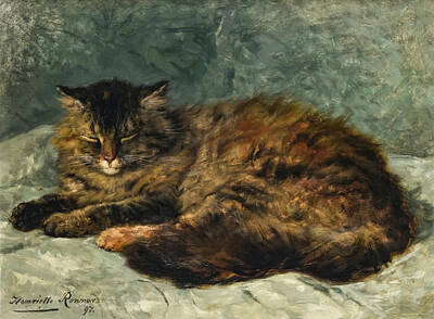 Mammals Royalty-Free and Rights-Managed Images - Cat with closed eyes by Henriette Ronner-Knip