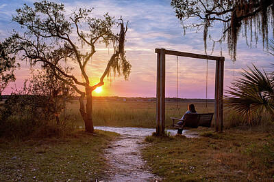Science Tees - Johns Island County Park - A Solitary Soul by Steve Rich