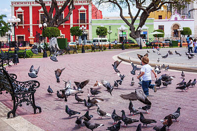 Birds Rights Managed Images - Joy and fun in the park - Campeche, Mexico Royalty-Free Image by Tatiana Travelways