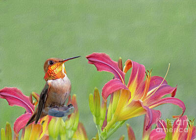 Automotive Paintings - Just Another Lily - Rufous Hummingbird by Tracie Fernandez