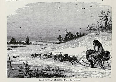 Cities Drawings - KAMCHATKAN SLEDGE ac4 by Historic Illustrations
