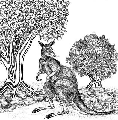 Animals Drawings - Kangaroo  by Jennifer Wheatley Wolf