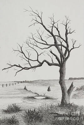 Landscapes Drawings - Kansas Flint Hills and tree by Garry McMichael