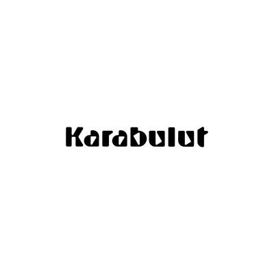Bald Eagle - Karabulut by TintoDesigns