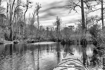Curated Travel Chargers - Kayaking Into the Swamp - Eastern North Carolina by Bob Decker