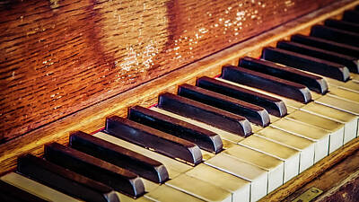 Musician Photo Royalty Free Images - Keys Royalty-Free Image by Bill Chizek