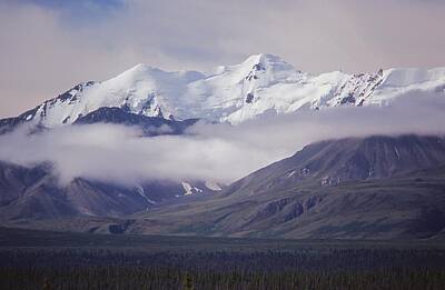 Penguins - Kluane Mountains in Kluane National Park Yukon by Lawrence Christopher